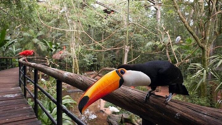 Customizable Private Iguazu Falls Tour with 4-Hour or 8-Hour Vehicle and Guide (2/10)