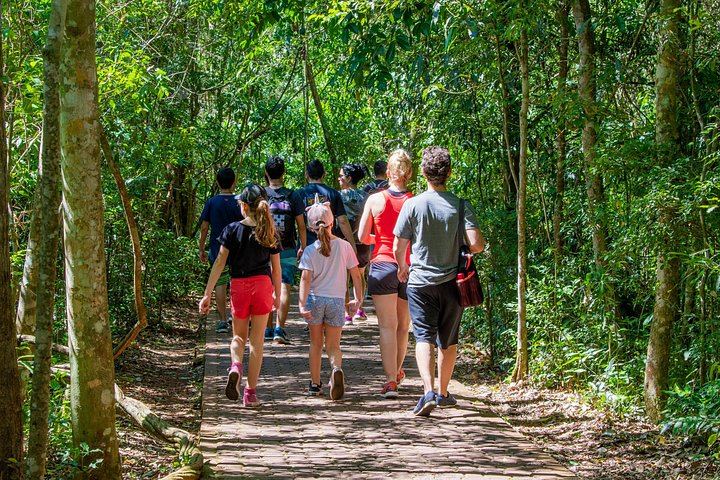 2-Day Iguazu Falls Tour from Puerto Iguazu, Both Sides, Bilingual Guide and Transfers (11/12)
