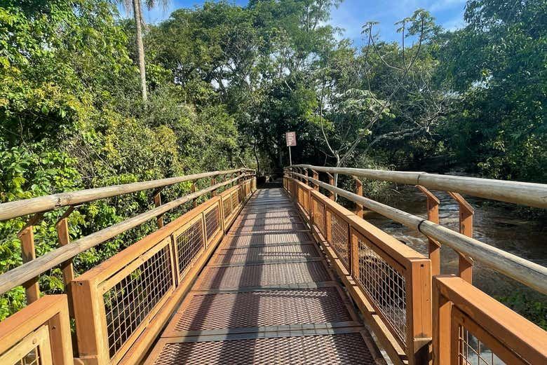 Iguazu Falls Argentine Side Day Trip from Foz do Iguacu with Border Crossing (7/8)