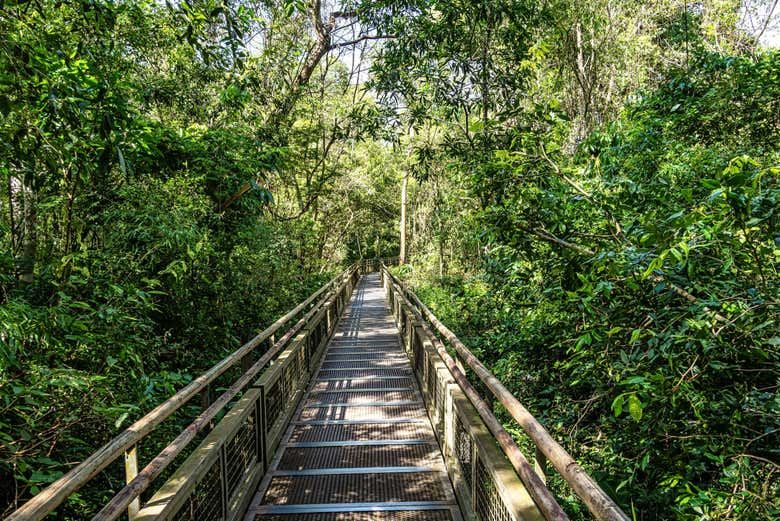 Six-Hour Guided Brazilian Side of Iguassu Falls with Foz do Iguacu Hotel Pickup (6/7)