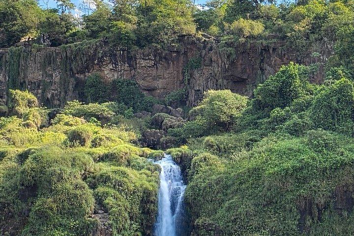 Iguazu Falls Argentine Side Day Trip from Foz do Iguacu with Bilingual Guide (7/9)