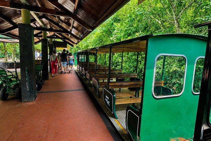 Iguazu Falls Argentine Side Day Trip from Foz do Iguacu with Bilingual Guide (4/9)