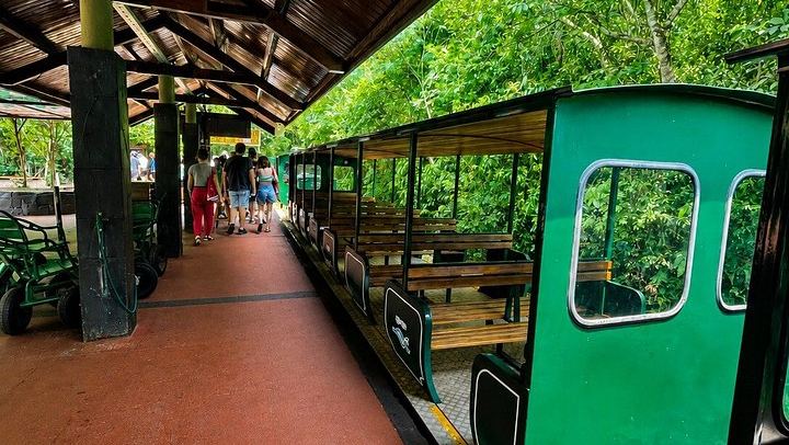 Iguazu Falls Argentine Side Day Trip from Foz do Iguacu with Bilingual Guide (4/9)