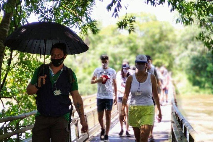 Iguazu Falls Day Tour from Puerto Iguazu with Train, Jungle Truck and Boat (4/12)