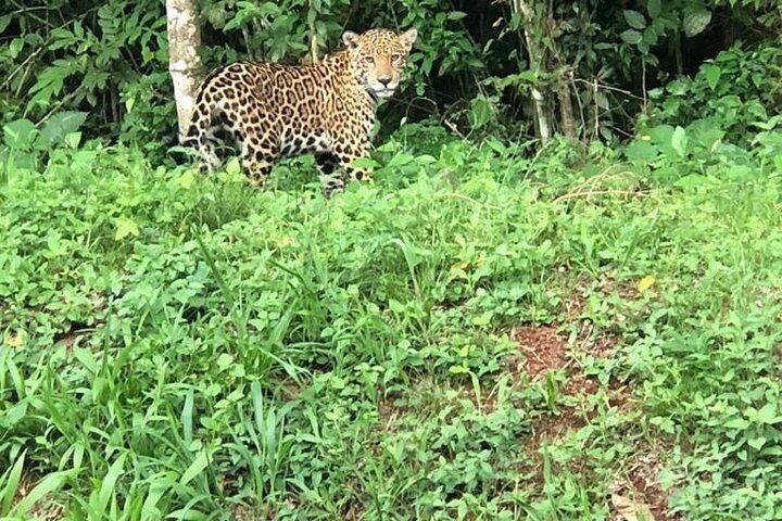Private Iguazu Falls Argentine Side Day Tour with Licensed Guide and Border Pass (10/12)