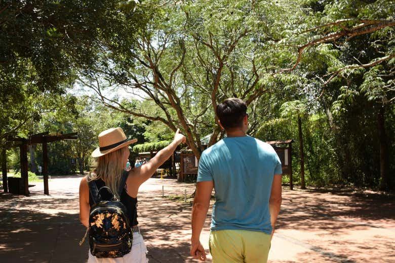 Iguazu Falls Argentina from Puerto Iguazu: Upper and Lower Trails, Optional Speedboat (5/7)