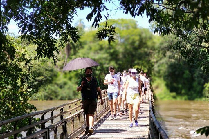 Iguazu Falls Argentine Side Day Tour from Puerto Iguazu with Bilingual Guide (9/12)