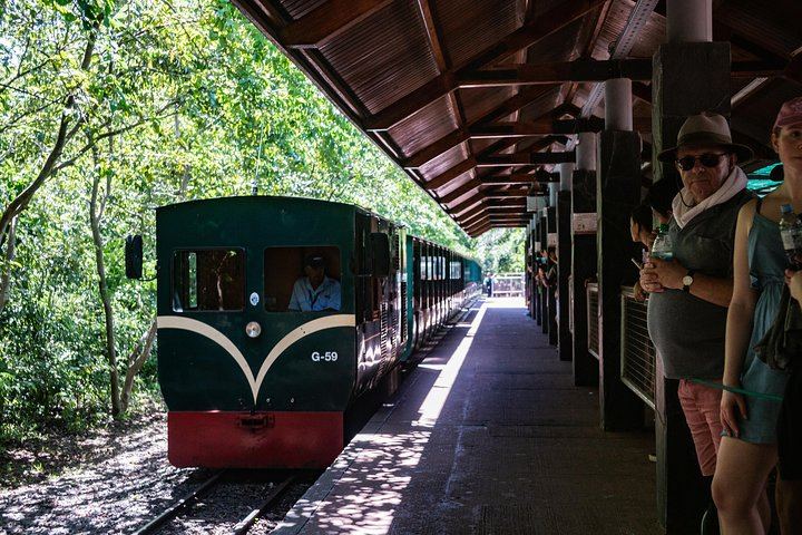 2-Day Iguazu Falls Tour with Jungle Train, Devil's Throat Walkway and Brazilian Trail (5/7)