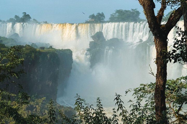 2-Day Iguazu Falls Tour with Jungle Train, Devil's Throat Walkway and Brazilian Trail (7/7)