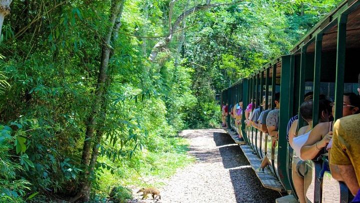 Iguazu Falls Argentine Side by Bus or Minivan with Zodiac Boat and Movi-Truck (3/12)