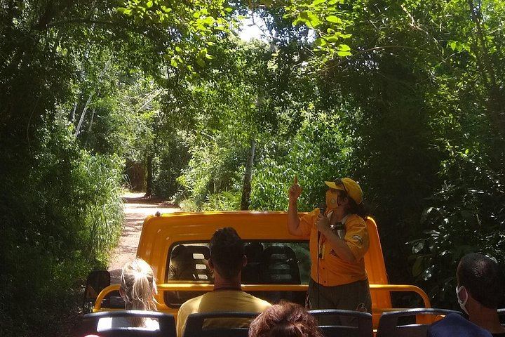 Iguazu Falls Argentine Side by Bus or Minivan with Zodiac Boat and Movi-Truck (4/12)