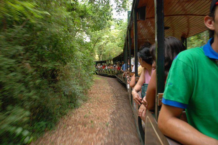 Iguazu Falls Day Tour from Puerto Iguazu with Train, Jungle Truck and Boat (7/12)