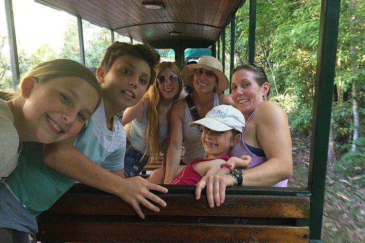 Iguazu Falls Day Tour from Puerto Iguazu with Train, Jungle Truck and Boat (8/12)