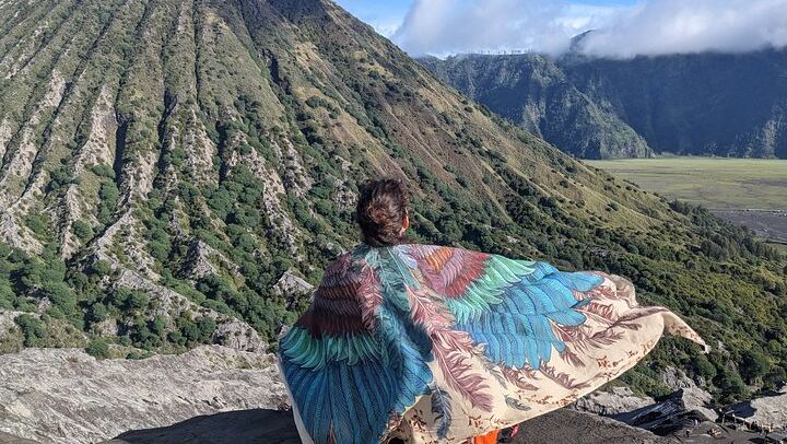 Three-Day Ijen Blue Fire, Tumpak Sewu and Bromo Tour from Bali by Ferry (4/9)
