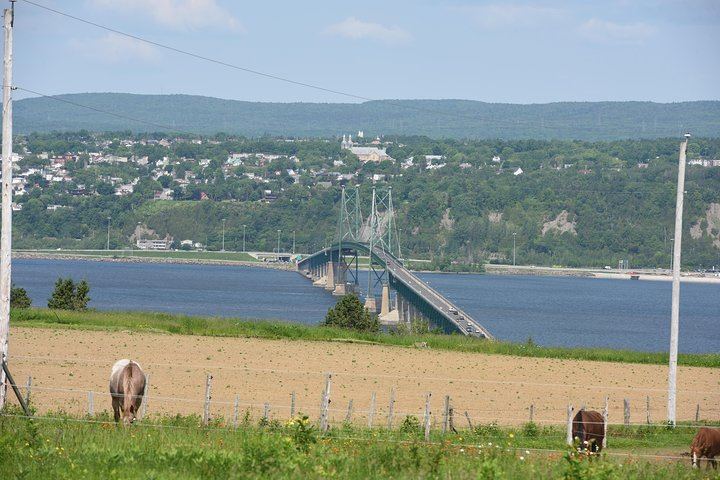 Montmorency Falls and Sainte-Anne-de-Beaupré Half-Day Coach Tour with Copper Museum Stop (6/12)