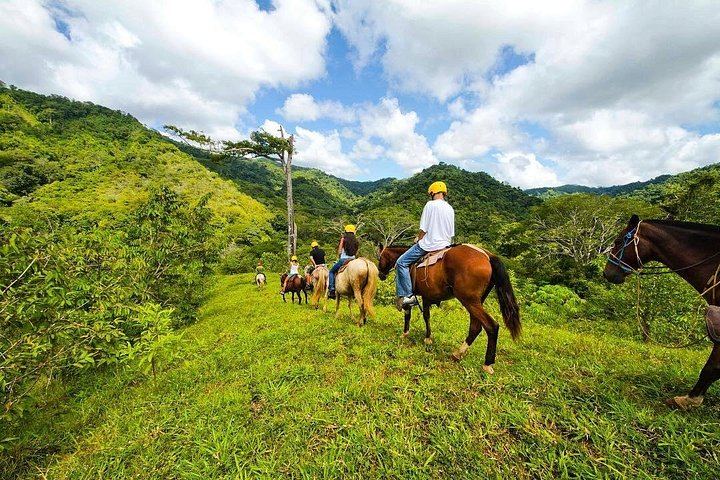 Horseback Ride to the 180-Foot El Encanto Waterfall at Ocean Ranch Park, Jaco (2/11)