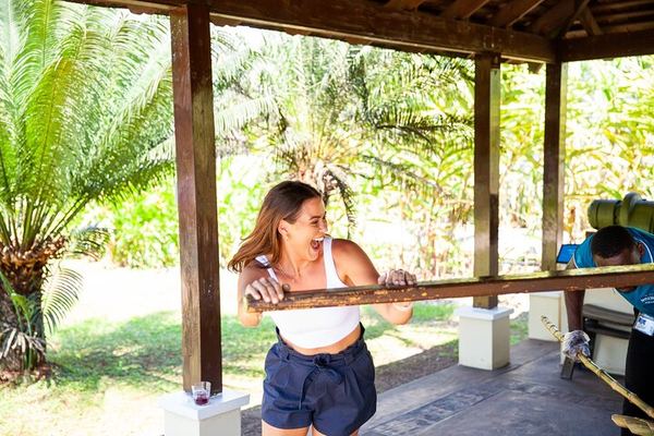 Appleton Estate Rum, Black River Safari and YS Falls from Montego Bay or Negril