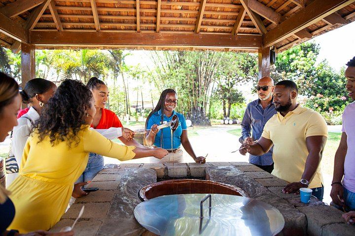 Appleton Estate Rum, Black River Safari and YS Falls from Montego Bay or Negril (12/12)