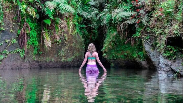 Sheppee Fun Tours: Emerald Pool, Trafalgar Falls and Morne Bruce, Dominica (1/7)