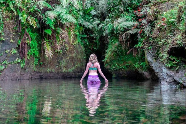 Sheppee Fun Tours: Emerald Pool, Trafalgar Falls and Morne Bruce, Dominica (1/7)