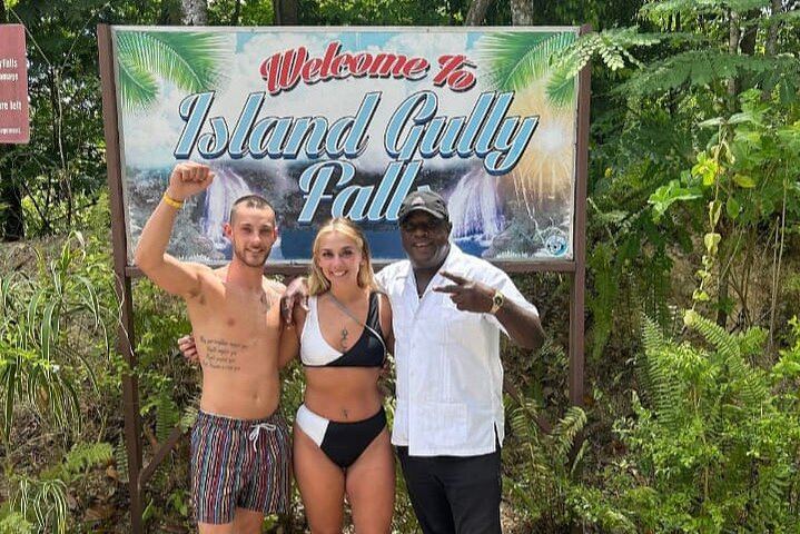 Ocho Rios Cruise Port Blue Hole and Dunn's River Tour, Entrance Fees Not Included (2/9)