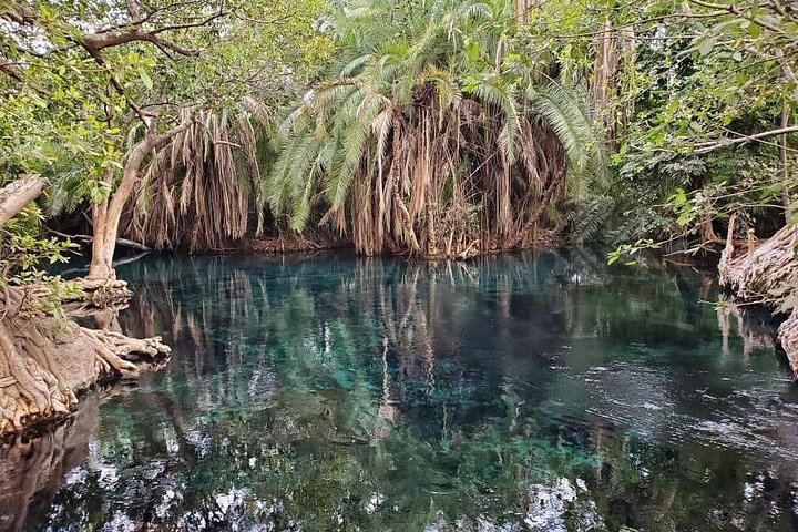 Materuni Coffee Tour and Chemka Hot Springs Day Trip with Local Lunch from Arusha (6/12)