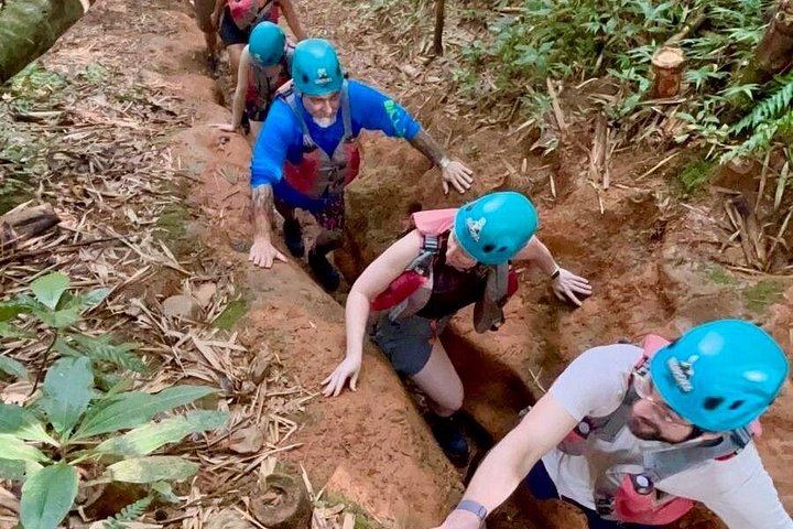 Full-Day El Yunque Hike from San Juan: Ceiba Pools, Rope Swing and Waterslides (5/9)