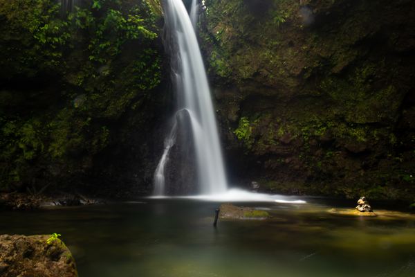Dominica