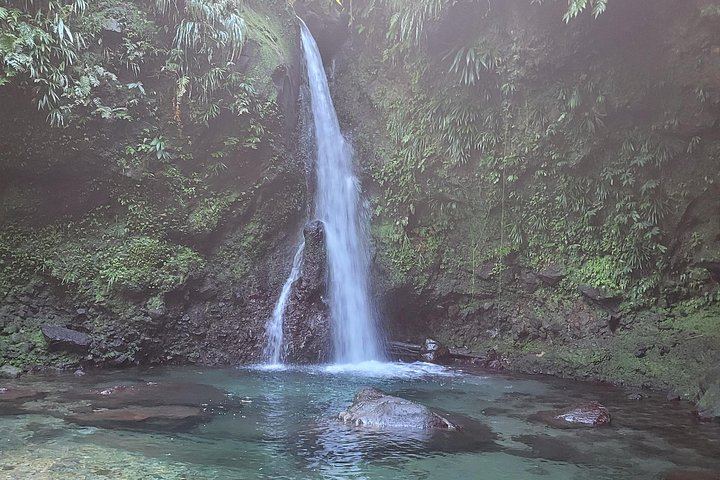 Private Dominica Waterfalls Tour with Autop Tours: Freshwater Lake to Morne Bruce (11/12)
