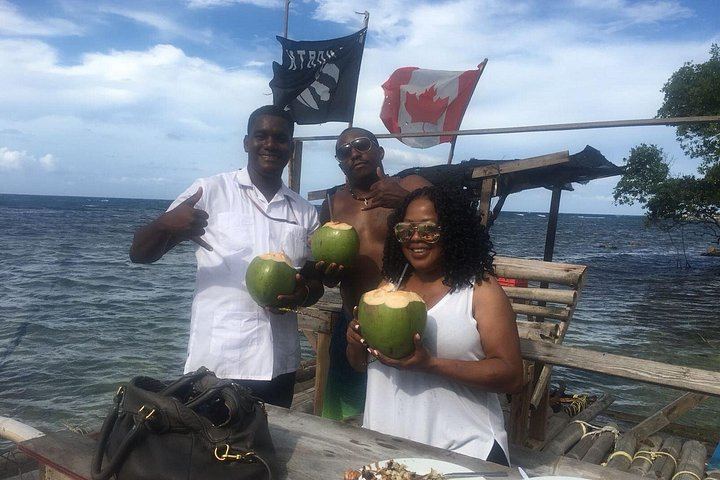 Montego Bay Hotel or Cruise Port Pickup to Dunn's River Falls and Blue Hole, Fees Included (9/12)