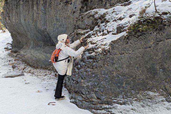 Johnston Canyon Ice Walk: Frozen Falls with Radventures, Van Groups of 10 Max (12/12)
