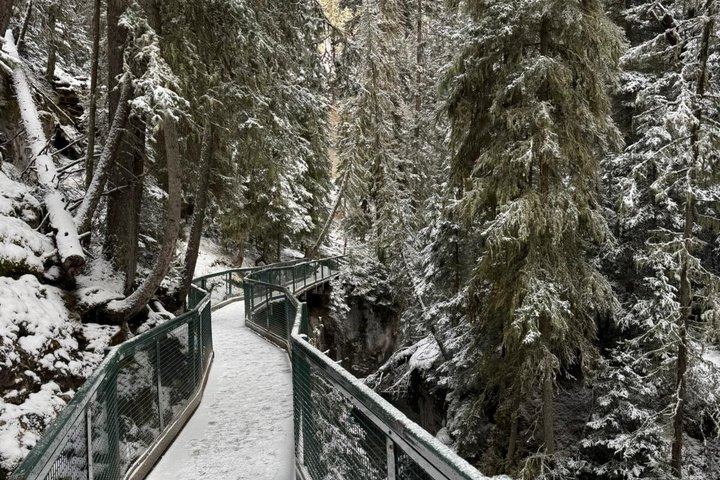 Johnston Canyon Ice Walk: Frozen Falls with Radventures, Van Groups of 10 Max (8/12)