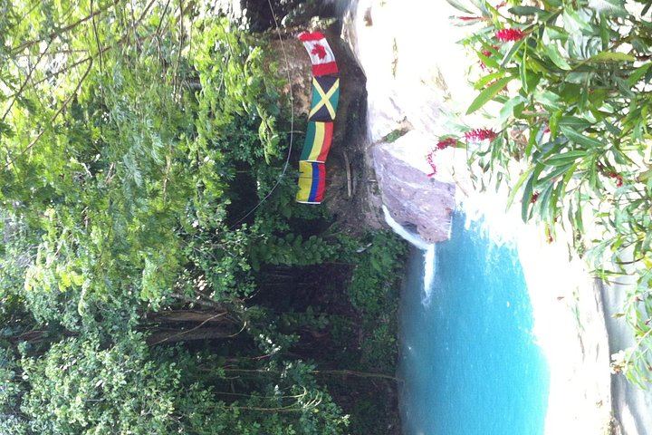Dunn's River Falls with Falmouth and Columbus Park Stops, Port or Hotel Pickup (3/12)