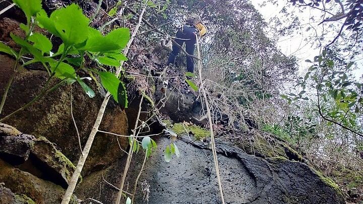 Anahola Private Jungle Waterfall Hike with Charlie the Hawaiian Dundee, 4WD Jeep Transfer (3/12)
