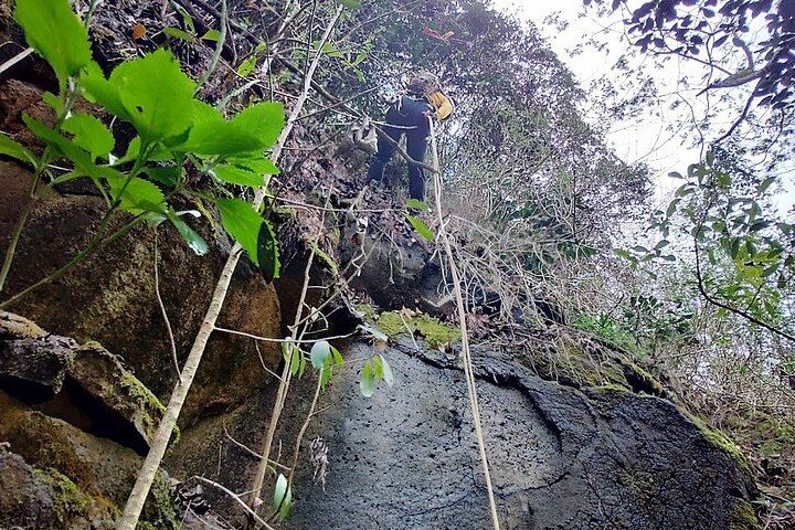 Anahola Private Jungle Waterfall Hike with Charlie the Hawaiian Dundee, 4WD Jeep Transfer (3/12)