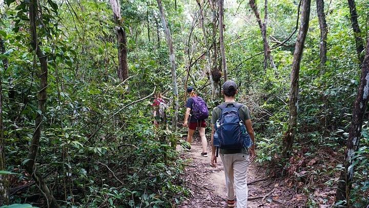 Phnom Kulen Jungle Trek from Siem Reap, Three-Hour Hike from Preah Ang Choub Pagoda (2/12)