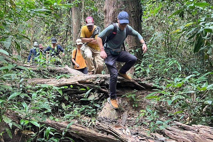 Phnom Kulen Jungle Trek from Siem Reap, Three-Hour Hike from Preah Ang Choub Pagoda (10/12)