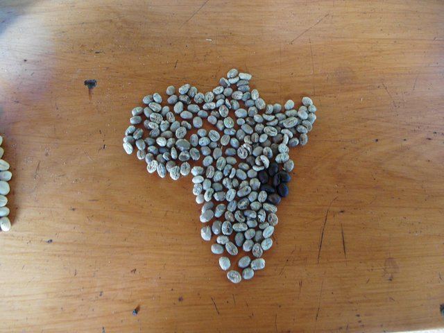 Materuni Waterfalls Swim and Chagga Coffee Half-Day Walk from Moshi Hotels (6/12)