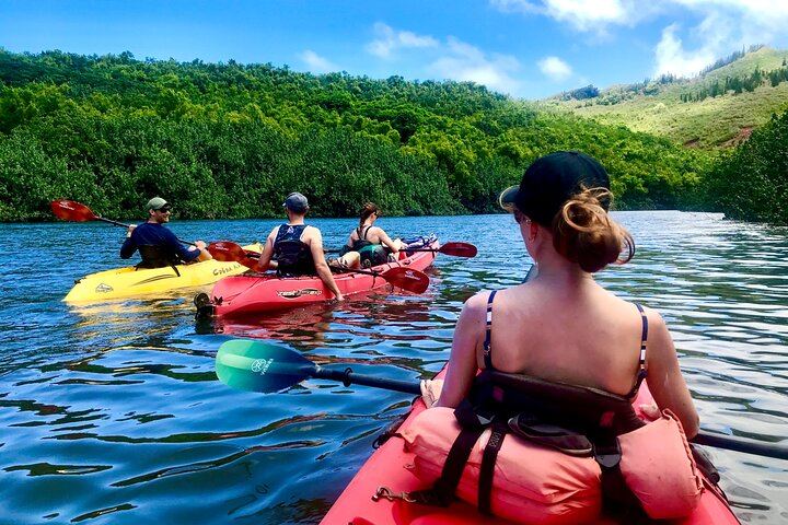 Duke's Kayak Adventures Wailua River Kayak and Secret Falls Hike with Guide, 5 Hours (1/12)