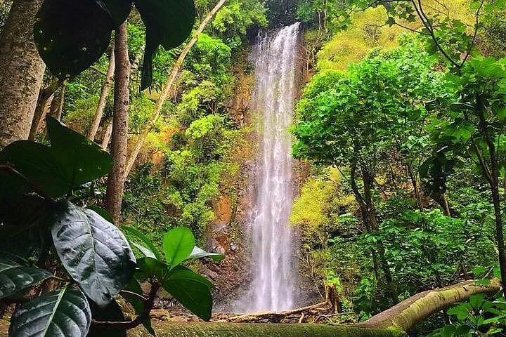 Duke's Kayak Adventures Wailua River Kayak and Secret Falls Hike with Guide, 5 Hours (9/12)