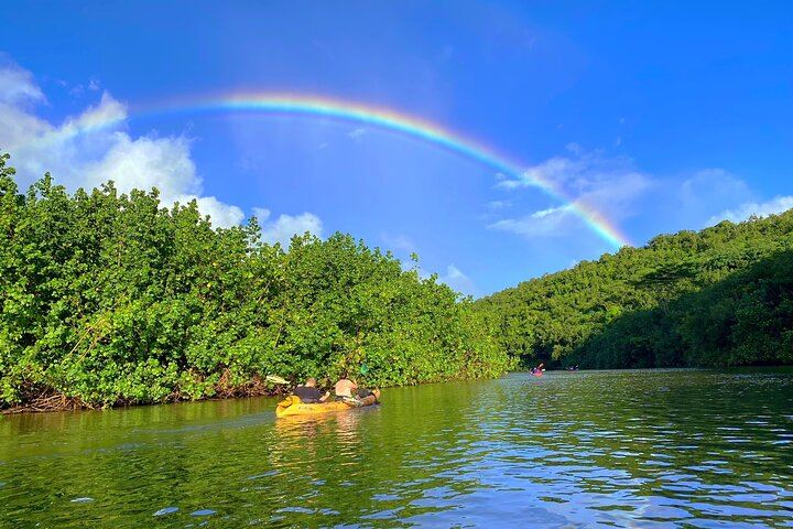 Duke's Kayak Adventures Wailua River Kayak and Secret Falls Hike with Guide, 5 Hours (7/12)