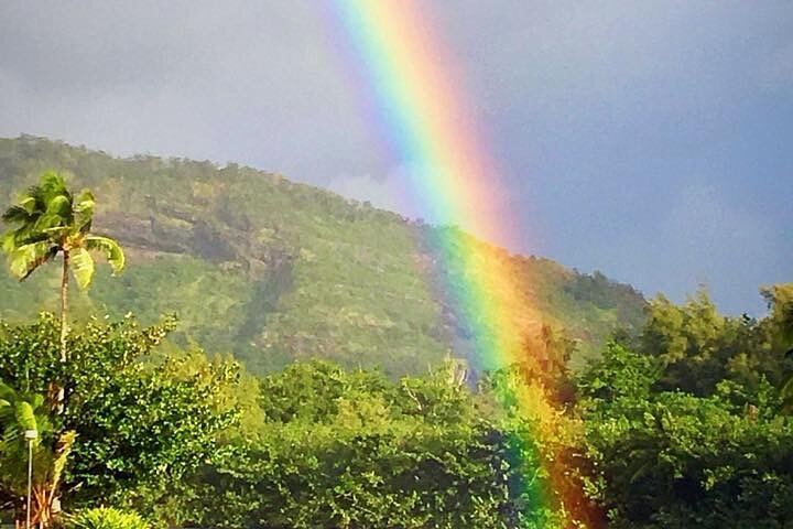 Duke's Kayak Adventures Wailua River Kayak and Secret Falls Hike with Guide, 5 Hours (11/12)