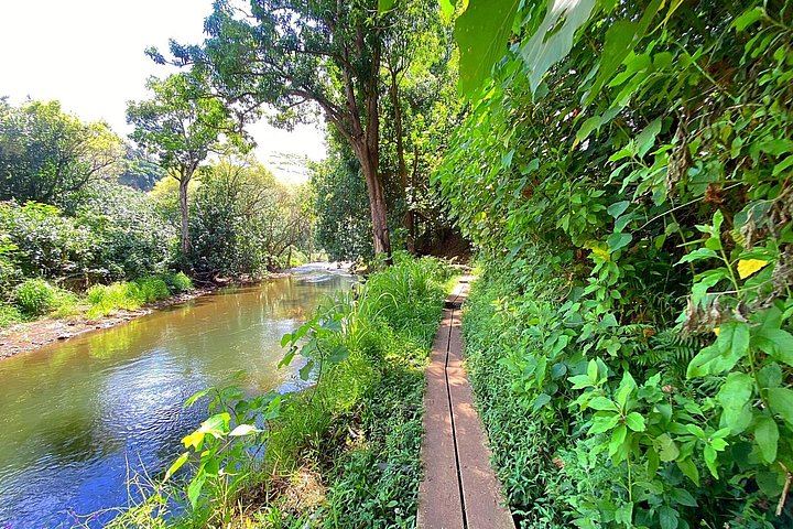 Duke's Kayak Adventures Wailua River Kayak and Secret Falls Hike with Guide, 5 Hours (8/12)