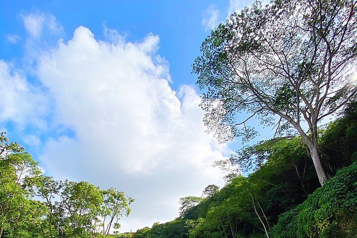 Duke's Kayak Adventures Wailua River Kayak and Secret Falls Hike with Guide, 5 Hours (4/12)