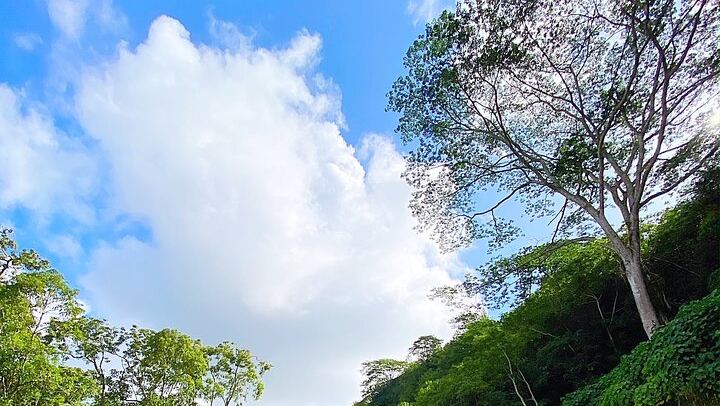 Duke's Kayak Adventures Wailua River Kayak and Secret Falls Hike with Guide, 5 Hours (4/12)