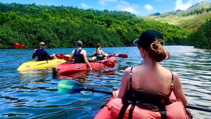 Duke's Kayak Adventures Wailua River Kayak and Secret Falls Hike with Guide, 5 Hours (1/12)