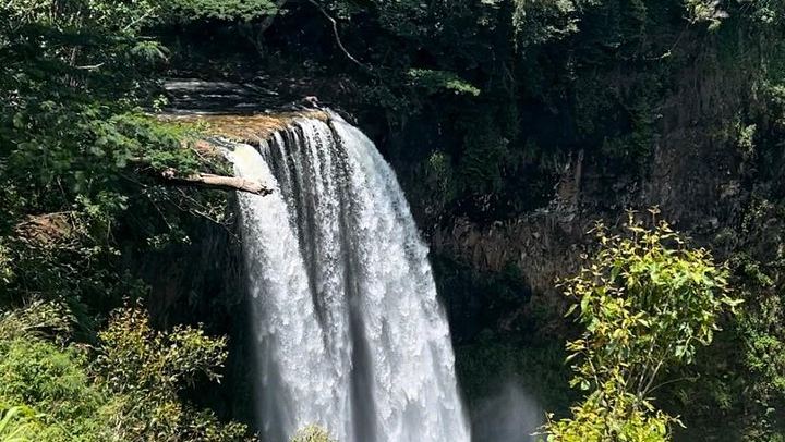 Kauai Eastside Waterfalls and Local Grinds Small-Group Tour: Wailua Falls and Fishpond (3/12)