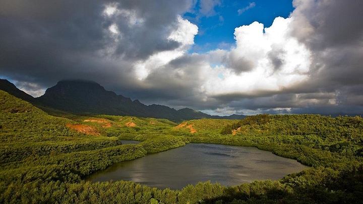 Private Kauai Eastside Waterfalls and Local Grinds Tour: 5.5 Hours, Bakery and Kapaa Lunch (2/12)
