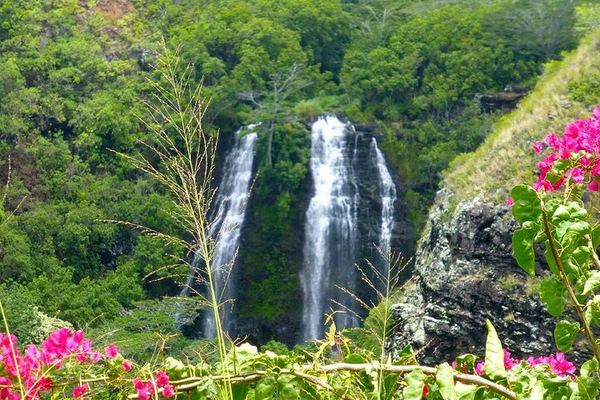 Kauai Eastside Waterfalls and Local Grinds Small-Group Tour: Wailua Falls and Fishpond