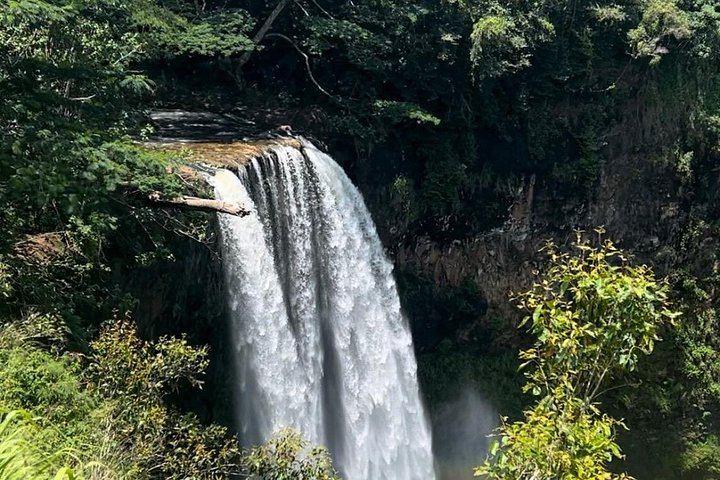 Kauai Eastside Waterfalls and Local Grinds Small-Group Tour: Wailua Falls and Fishpond (3/12)